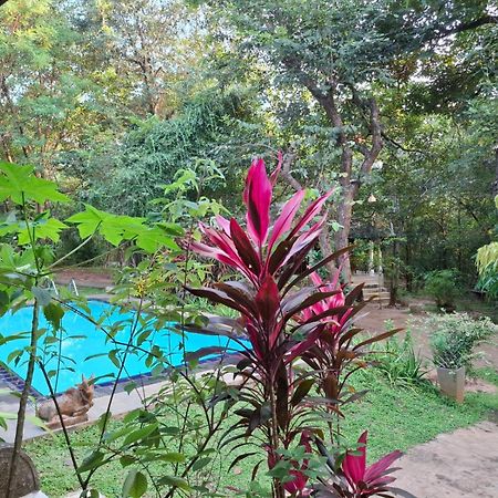 Villa Habarana Exterior photo