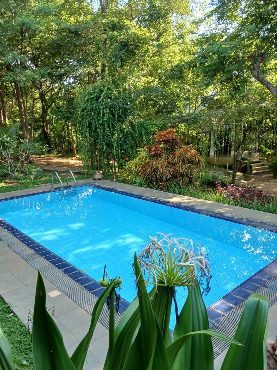 Villa Habarana Exterior photo
