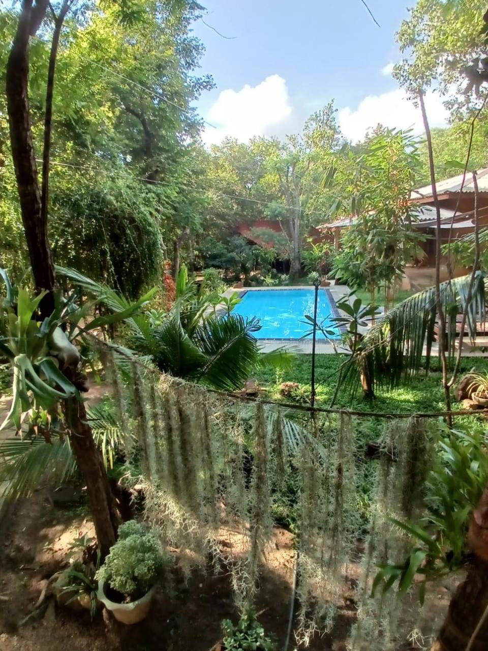 Villa Habarana Exterior photo