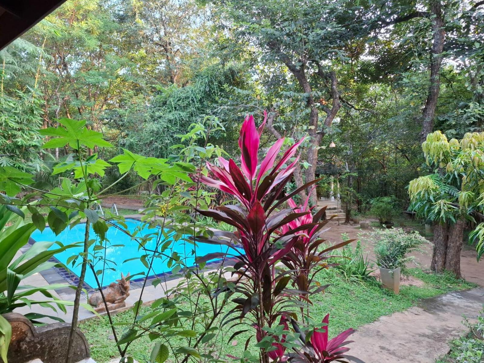 Villa Habarana Exterior photo